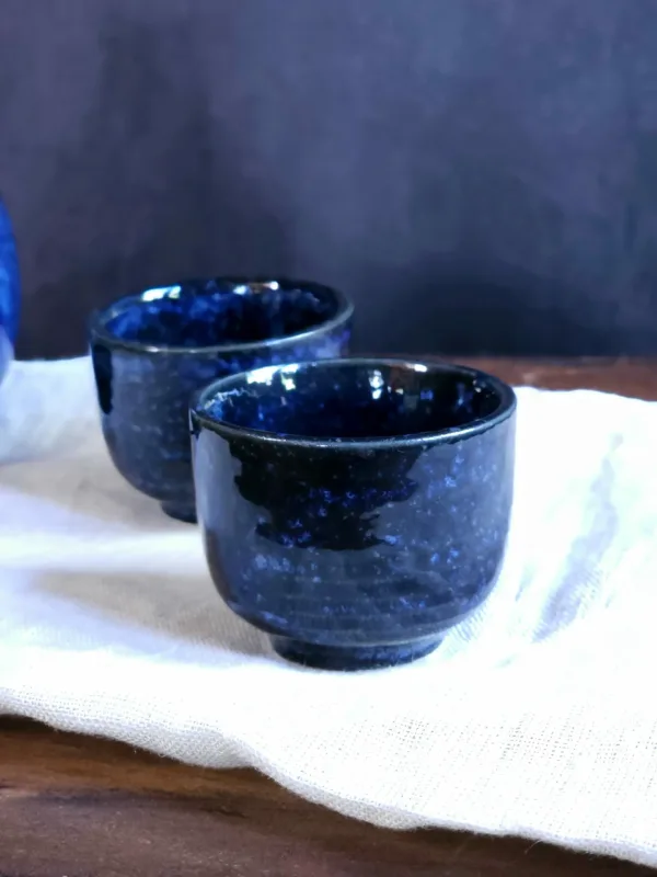 Sake kuppi Nokon