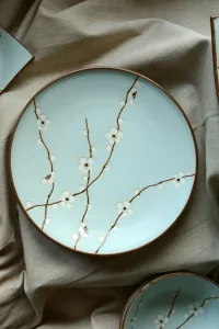 Hanami Ohzara